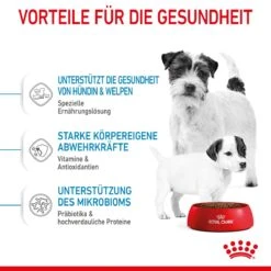 Royal Canin Mini Starter Trockenfutter 4 Kg Trockenfutter 14 Royal Canin Mini Starter Trockenfutter 4 Kg Trockenfutter -Angebote Specific Store R0BwgXOmGP0f 3182550932707 2504 4