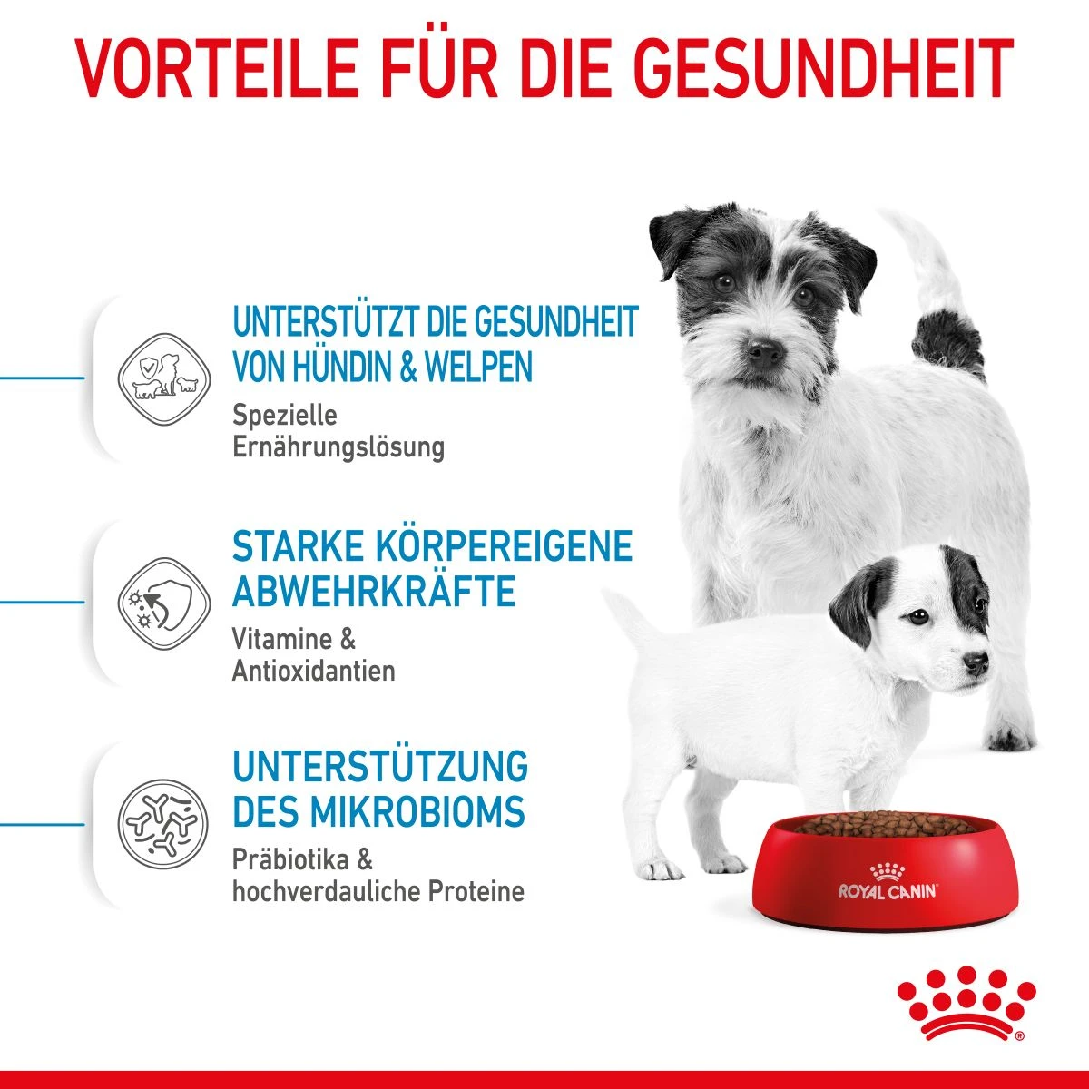 Royal Canin Mini Starter Trockenfutter 4 Kg Trockenfutter 5 Royal Canin Mini Starter Trockenfutter 4 Kg Trockenfutter – Bild 5