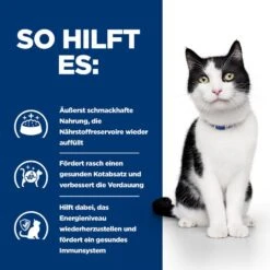 Hills I/d Mit ActivBiome+ Ragout In Dosen Für Katzen 24 X 82 G Ragout Mit ActivBiome+ In Dosen Für Katzen -Angebote Specific Store RUcoq0KJ328i 52742039893 4