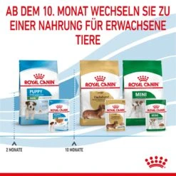 Royal Canin Mini Puppy Frischebeutel 12 X 85 G Frischebeutel Für Hunde -Angebote Specific Store S3Pn6KJg0Ad2 9003579008201 4701 8