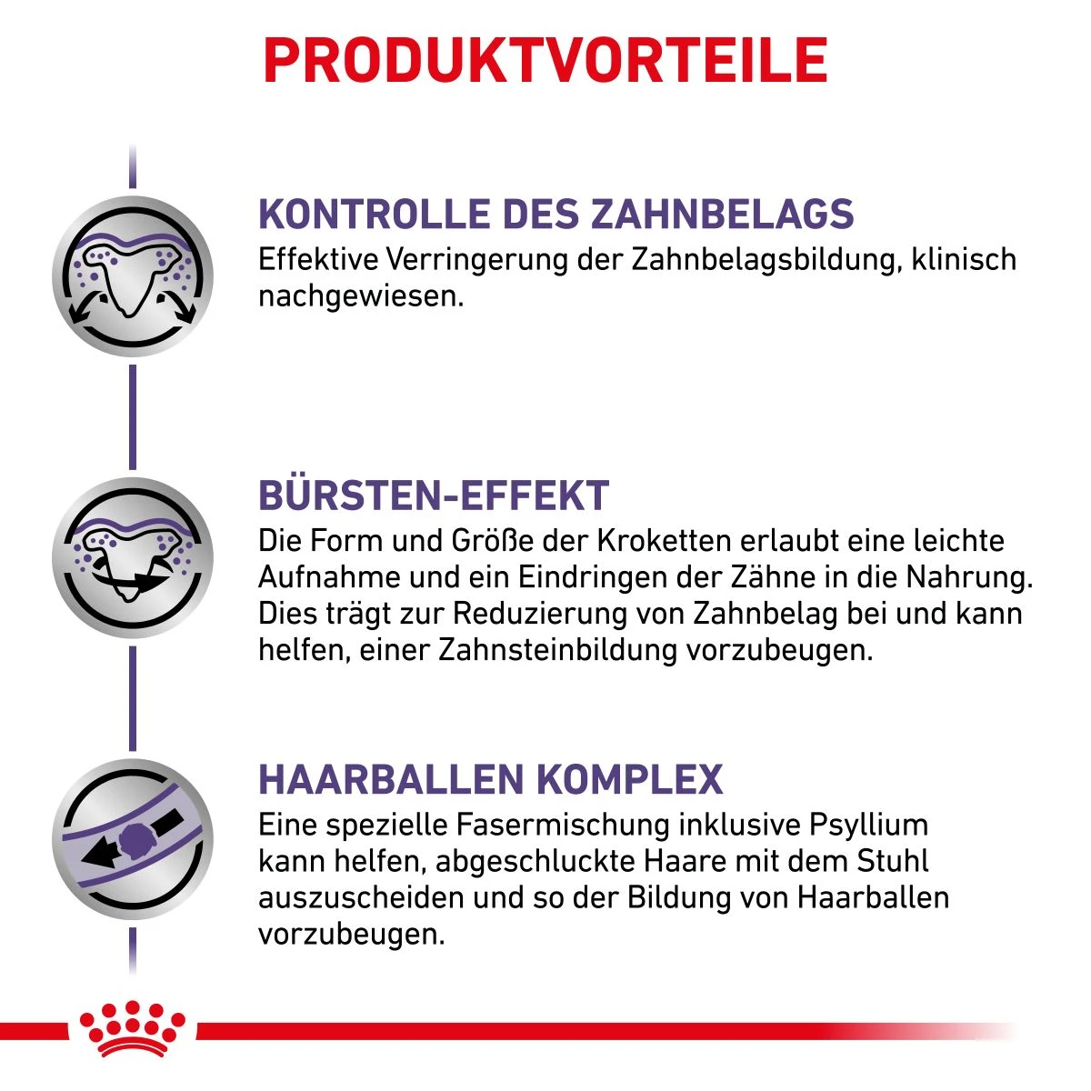 Royal Canin Dental Trockenfutter Für Katzen 1,5 Kg Trockenfutter Für Katzen 3 Royal Canin Dental Trockenfutter Für Katzen 1,5 Kg Trockenfutter Für Katzen – Bild 3