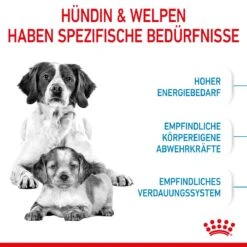 Royal Canin Medium Starter Trockenfutter 15 Kg Trockenfutter Für Hunde -Angebote Specific Store SULUsX5vduom 3182550932714 2515 3