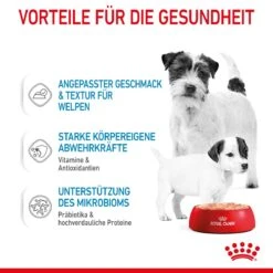 Royal Canin Starter Ultra Soft Mousse Für Welpen 12 X 195 G -Angebote Specific Store Smn5EA4AZdCE 9003579020036 4300 4