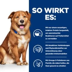 Hills Prescription Diet Canine Derm Complete Dosenfutter Für Hunde 12 X 370 G Dosenfutter Für Hunde -Angebote Specific Store Ti9yBPDTVN6I 52742038865 3