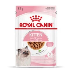 Royal Canin Kitten Second Age Für Kätzchen Bis Zum 12. Monat 12 X 85 G In Soße Frischebeutel 19 Royal Canin Kitten Second Age Für Kätzchen Bis Zum 12. Monat 12 X 85 G In Soße Frischebeutel -Angebote Specific Store TwzlIf7AQgTc 9003579308745 4501 Packshot