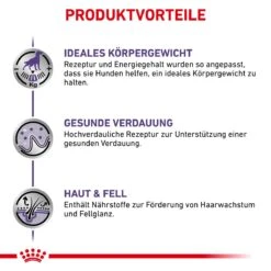 Royal Canin Neutered Adult Frischebeutel Für Hunde 12 X 100 G Frischebeutel Für Hunde -Angebote Specific Store UjAQj2rDRSHV 9003579015476 4042 3