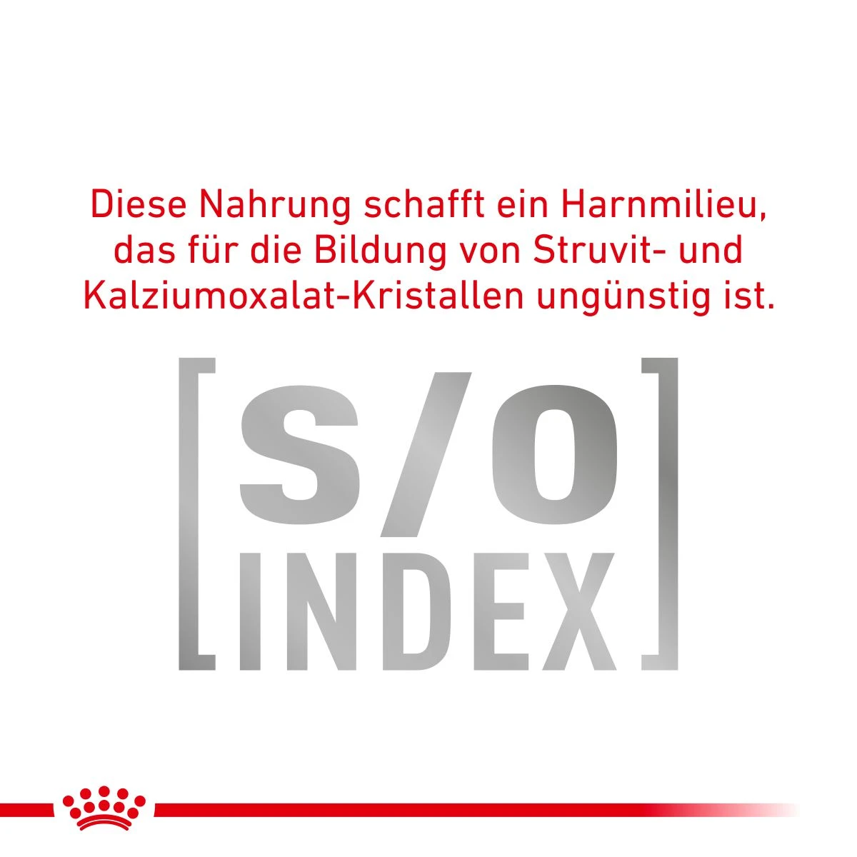 Royal Canin Diabetic Nassfutter Für Katzen 12 X 85 G Frischebeutel Für Katzen 4 Royal Canin Diabetic Nassfutter Für Katzen 12 X 85 G Frischebeutel Für Katzen – Bild 4