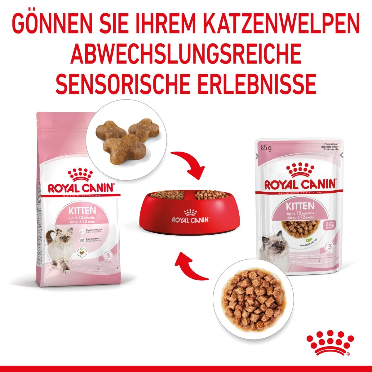 Royal Canin Kitten Second Age Für Kätzchen Bis Zum 12. Monat 12 X 85 G In Soße Frischebeutel 6 Royal Canin Kitten Second Age Für Kätzchen Bis Zum 12. Monat 12 X 85 G In Soße Frischebeutel – Bild 6