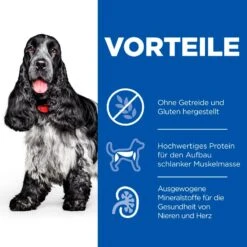 Hills Science Plan No Grain Mature Adult 7+ Trockenfutter Für Hunde 14 Kg Trockenfutter Für Hunde -Angebote Specific Store W04JpAoQT4ft 52742037271 3