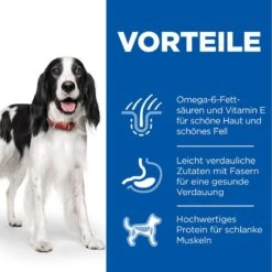 Hills Science Plan Canine Adult Rind Dosenfutter Für Hunde 12 X 370 G Dosenfutter Mit Rind 6 Hills Science Plan Canine Adult Rind Dosenfutter Für Hunde 12 X 370 G Dosenfutter Mit Rind -Angebote Specific Store WMoWFwFx1WXX 52742051581 3