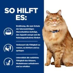 Hills K/d + Mobility Frischebeutel Für Katzen 12 X 85 G Frischebeutel Für Katzen 10 Hills K/d + Mobility Frischebeutel Für Katzen 12 X 85 G Frischebeutel Für Katzen -Angebote Specific Store YmxOI0hQh612 52742011561 4
