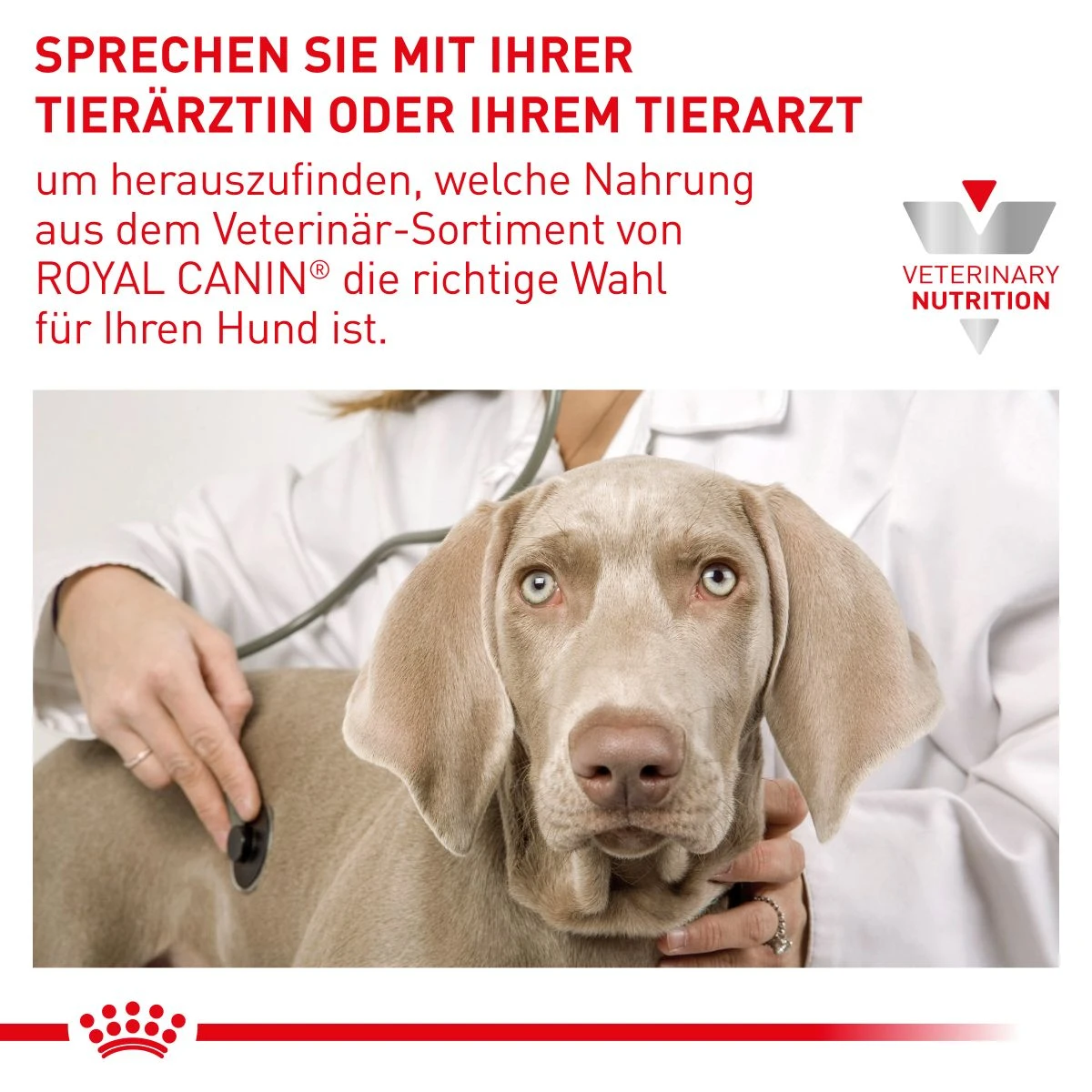 Royal Canin Urinary S/O Trockenfutter Für Hunde 2 Kg Trockenfutter Für Hunde 8 Royal Canin Urinary S/O Trockenfutter Für Hunde 2 Kg Trockenfutter Für Hunde – Bild 8