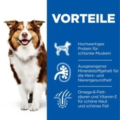 Hills Science Plan Canine Mature Adult 7+ Hund Huhn Dosenfutter 12 X 370 G Dosenfutter Mit Huhn 7 Hills Science Plan Canine Mature Adult 7+ Hund Huhn Dosenfutter 12 X 370 G Dosenfutter Mit Huhn -Angebote Specific Store bOfrQfyKjw55 52742051598 3