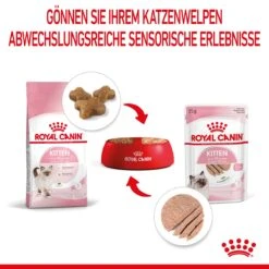 Royal Canin Kitten Frischebeutel Mousse 12 X 85 G Mousse Frischebeutel 12 Royal Canin Kitten Frischebeutel Mousse 12 X 85 G Mousse Frischebeutel -Angebote Specific Store cAFOkJDYaZEU 9003579003831 4505 5