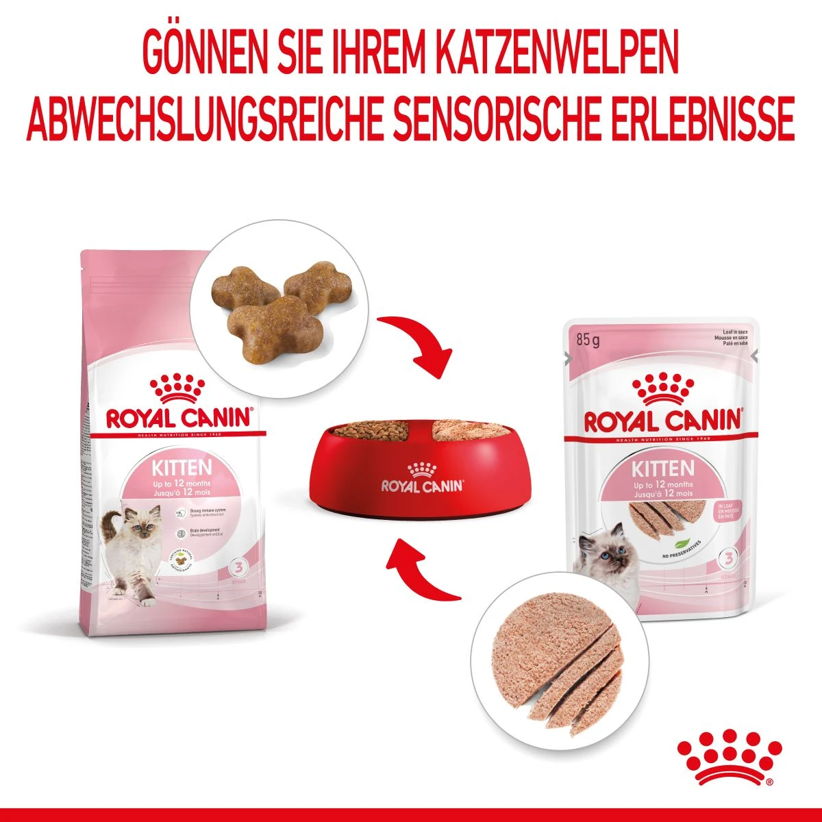 Royal Canin Kitten Frischebeutel Mousse 12 X 85 G Mousse Frischebeutel 4 Royal Canin Kitten Frischebeutel Mousse 12 X 85 G Mousse Frischebeutel – Bild 4