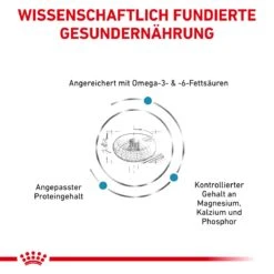 Royal Canin Skin & Coat Trockenfutter Für Katzen 1,5 Kg Trockenfutter Für Katzen 12 Royal Canin Skin & Coat Trockenfutter Für Katzen 1,5 Kg Trockenfutter Für Katzen -Angebote Specific Store cL4bfG5oQLza 3182550939188 5493 4