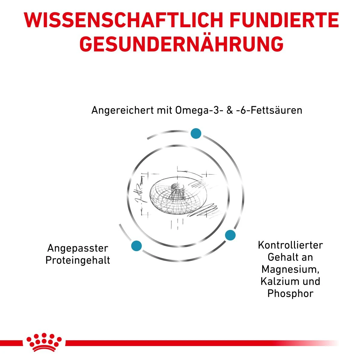 Royal Canin Skin & Coat Trockenfutter Für Katzen 1,5 Kg Trockenfutter Für Katzen 4 Royal Canin Skin & Coat Trockenfutter Für Katzen 1,5 Kg Trockenfutter Für Katzen – Bild 4