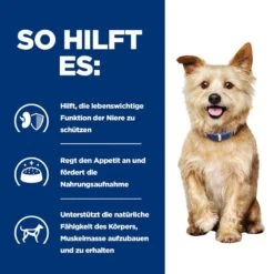 Hills K/D Für Hunde Dosenfutter Mit Huhn 12 X 370 G Dosenfutter Für Hunde -Angebote Specific Store cwOoYyVRS8Eh 52742053158 4