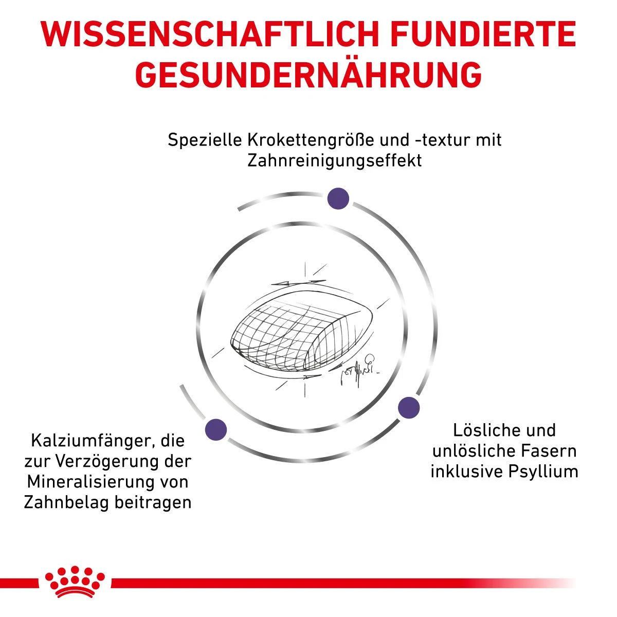 Royal Canin Dental Trockenfutter Für Katzen 1,5 Kg Trockenfutter Für Katzen 2 Royal Canin Dental Trockenfutter Für Katzen 1,5 Kg Trockenfutter Für Katzen – Bild 2