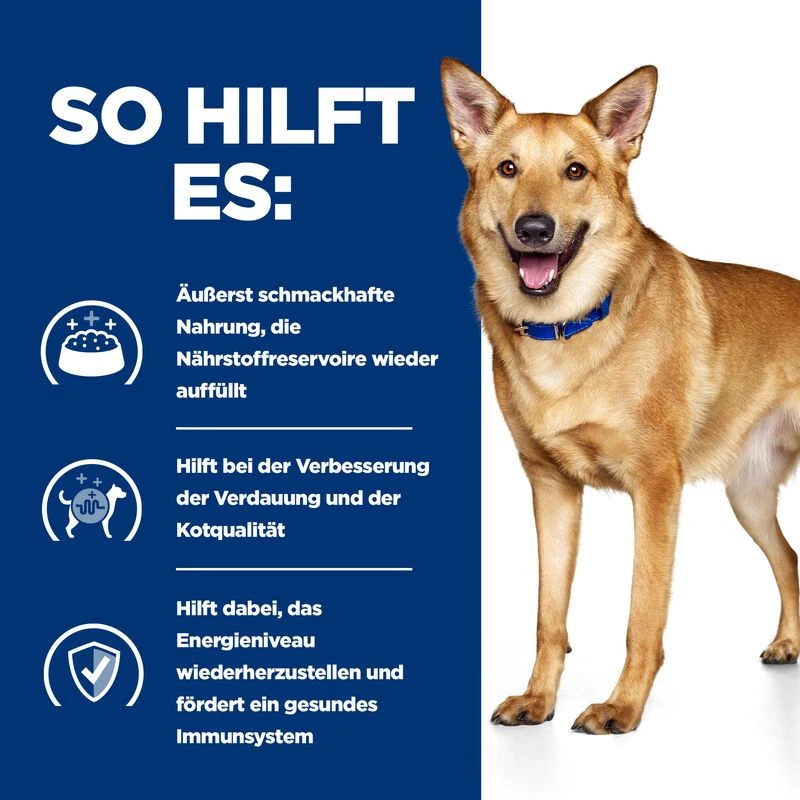 Hills I/d Ragout In Dosen Für Hunde 12 X 354 G Dosenfutter Für Hunde 4 Hills I/d Ragout In Dosen Für Hunde 12 X 354 G Dosenfutter Für Hunde – Bild 4