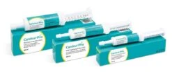 Boehringer Ingelheim Canikur Pro 15 Ml Canikur Pro Paste