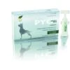 Selectavet Dermoscent PYOclean Oto Für Hunde 10 X 5 Ml Dermoscent PYOclean Oto
