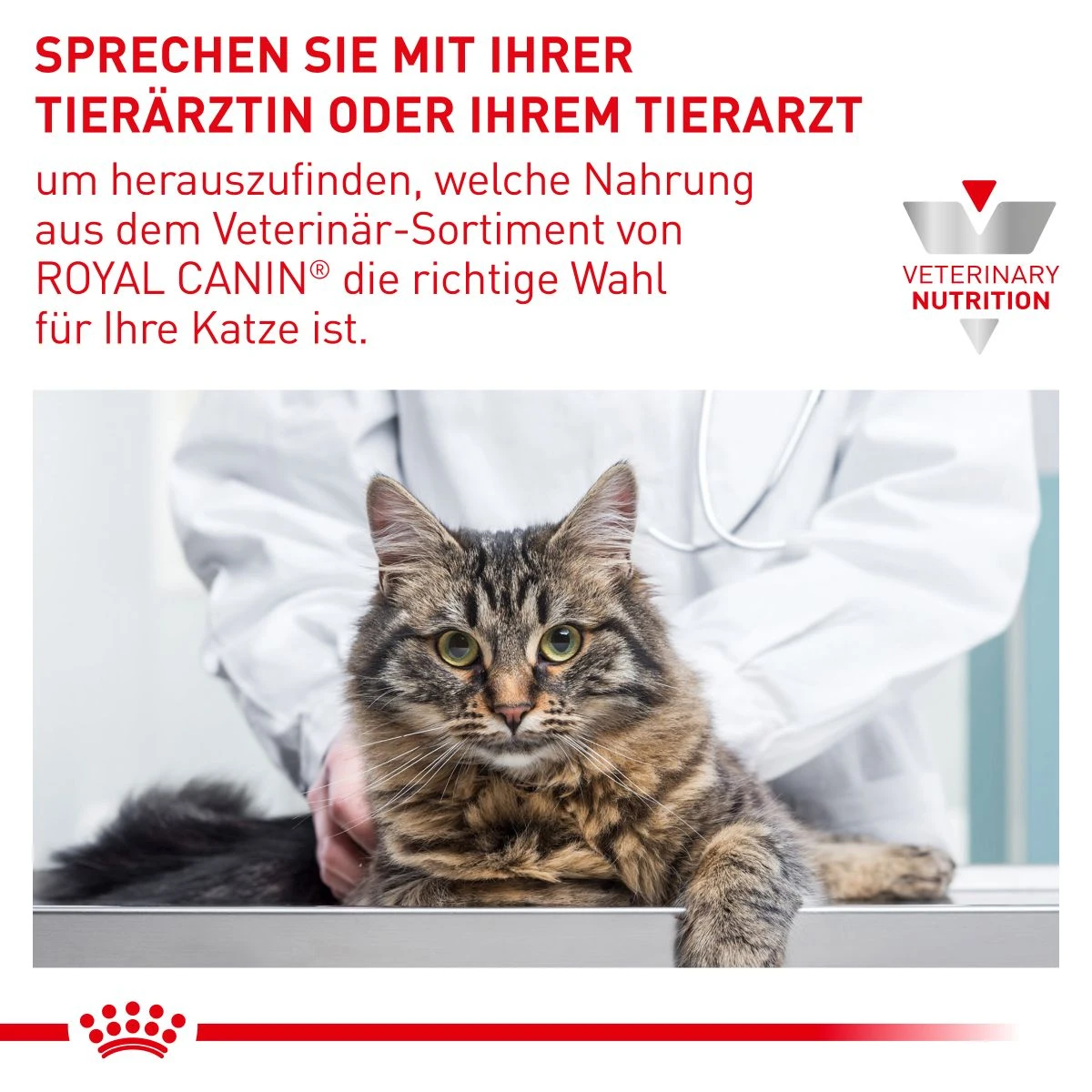 Royal Canin Diabetic Nassfutter Für Katzen 12 X 85 G Frischebeutel Für Katzen 7 Royal Canin Diabetic Nassfutter Für Katzen 12 X 85 G Frischebeutel Für Katzen – Bild 7
