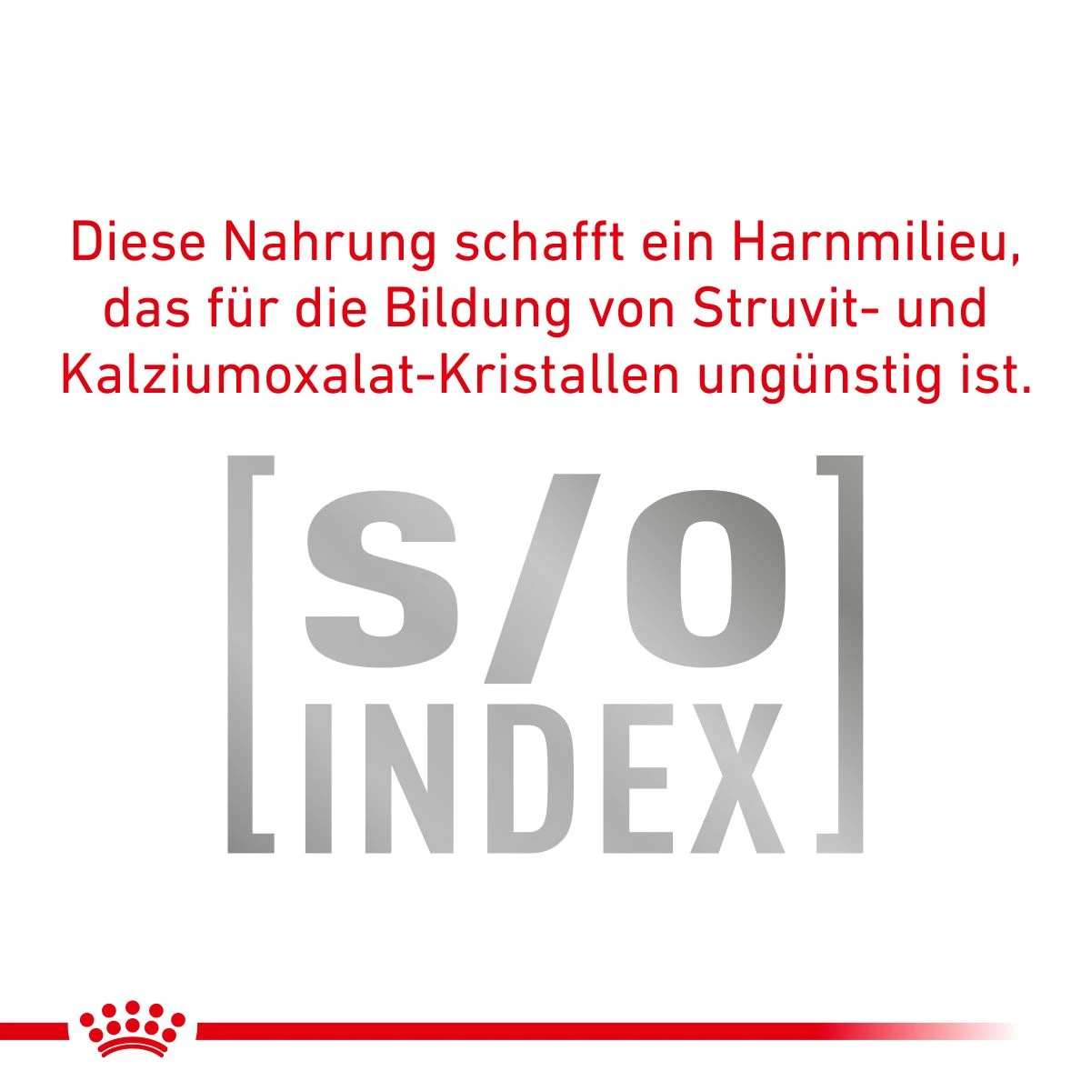 Royal Canin Urinary S/O Trockenfutter Für Hunde 2 Kg Trockenfutter Für Hunde 2 Royal Canin Urinary S/O Trockenfutter Für Hunde 2 Kg Trockenfutter Für Hunde – Bild 2