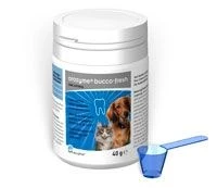 Ecuphar Orozyme Bucco-Fresh PlaqueOff Zahnpflege 40 G Bucco-Fresh PlaqueOff