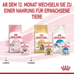 Royal Canin Kitten Second Age Für Kätzchen Bis Zum 12. Monat 12 X 85 G In Soße Frischebeutel 18 Royal Canin Kitten Second Age Für Kätzchen Bis Zum 12. Monat 12 X 85 G In Soße Frischebeutel -Angebote Specific Store mOI5u1yxXlGH 9003579308745 4501 9