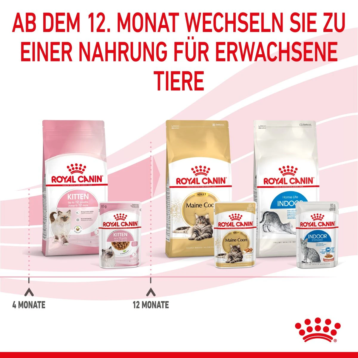 Royal Canin Kitten Second Age Für Kätzchen Bis Zum 12. Monat 12 X 85 G In Soße Frischebeutel 9 Royal Canin Kitten Second Age Für Kätzchen Bis Zum 12. Monat 12 X 85 G In Soße Frischebeutel – Bild 9