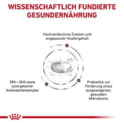 Royal Canin Hepatic Trockenfutter Für Katzen 2 Kg Katze Trockenfutter 10 Royal Canin Hepatic Trockenfutter Für Katzen 2 Kg Katze Trockenfutter -Angebote Specific Store mu2KSTrN1TEn 3182550787987 5114 4