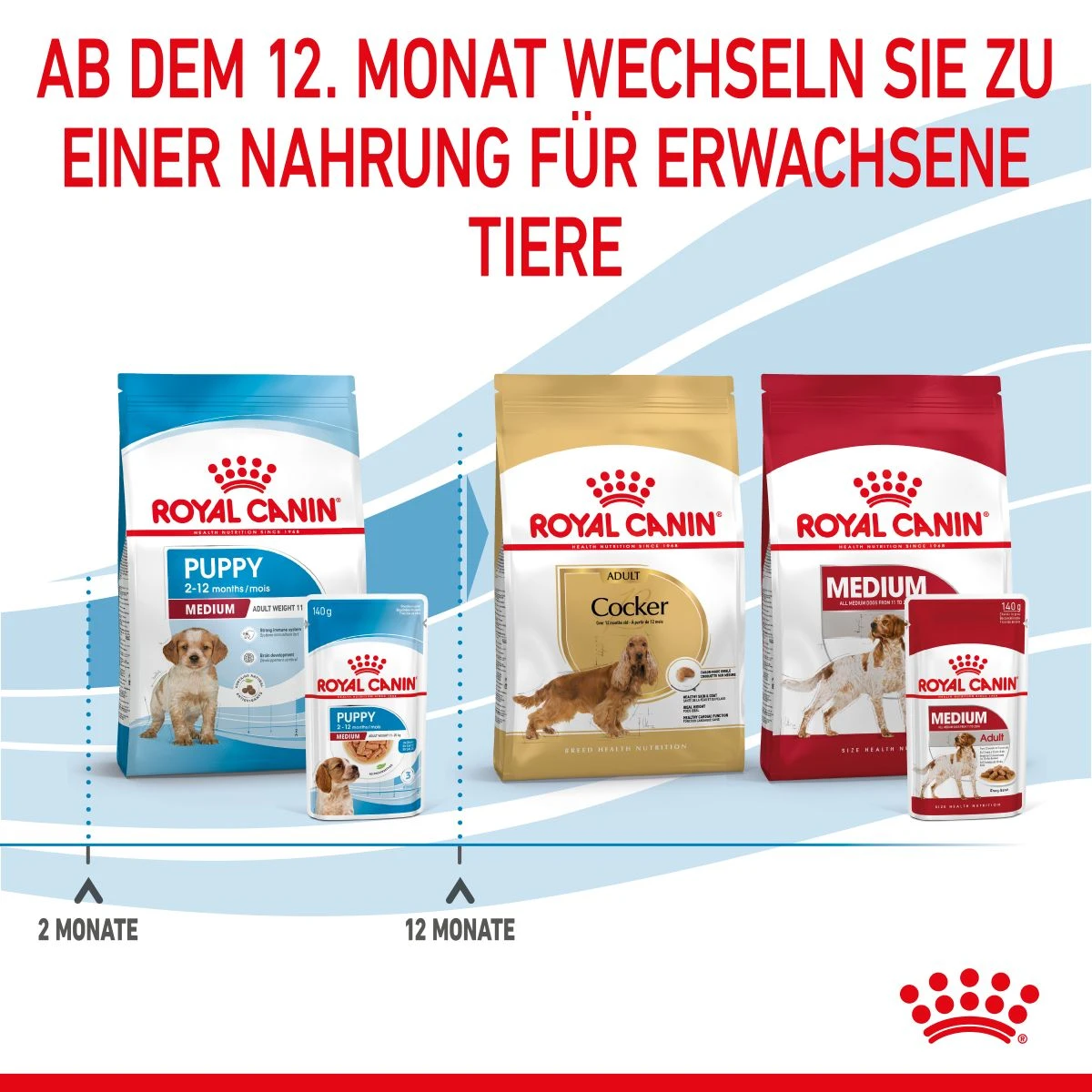Royal Canin Medium Puppy Frischebeutel 10 X 140 G Frischebeutel Für Hunde 7 Royal Canin Medium Puppy Frischebeutel 10 X 140 G Frischebeutel Für Hunde – Bild 7