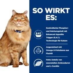 Hills K/d + Mobility Frischebeutel Für Katzen 12 X 85 G Frischebeutel Für Katzen 9 Hills K/d + Mobility Frischebeutel Für Katzen 12 X 85 G Frischebeutel Für Katzen -Angebote Specific Store nEzvosmhPO44 52742011561 3