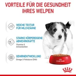 Royal Canin Mini Puppy Frischebeutel 12 X 85 G Frischebeutel Für Hunde -Angebote Specific Store o0XAoWBVDsbt 9003579008201 4701 4