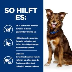 Hills Canine Metabolic Dosenfutter Für Hunde 12 X 370 G Dosenfutter Für Hunde -Angebote Specific Store od2UwivO6ur8 52742053059 4