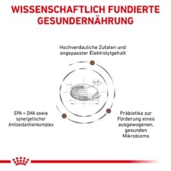 Royal Canin Gastrointestinal Trockenfutter Für Hunde 2 Kg Trockenfutter Für Hunde -Angebote Specific Store p0NKRvr1tB5I 3182550905695 908 4