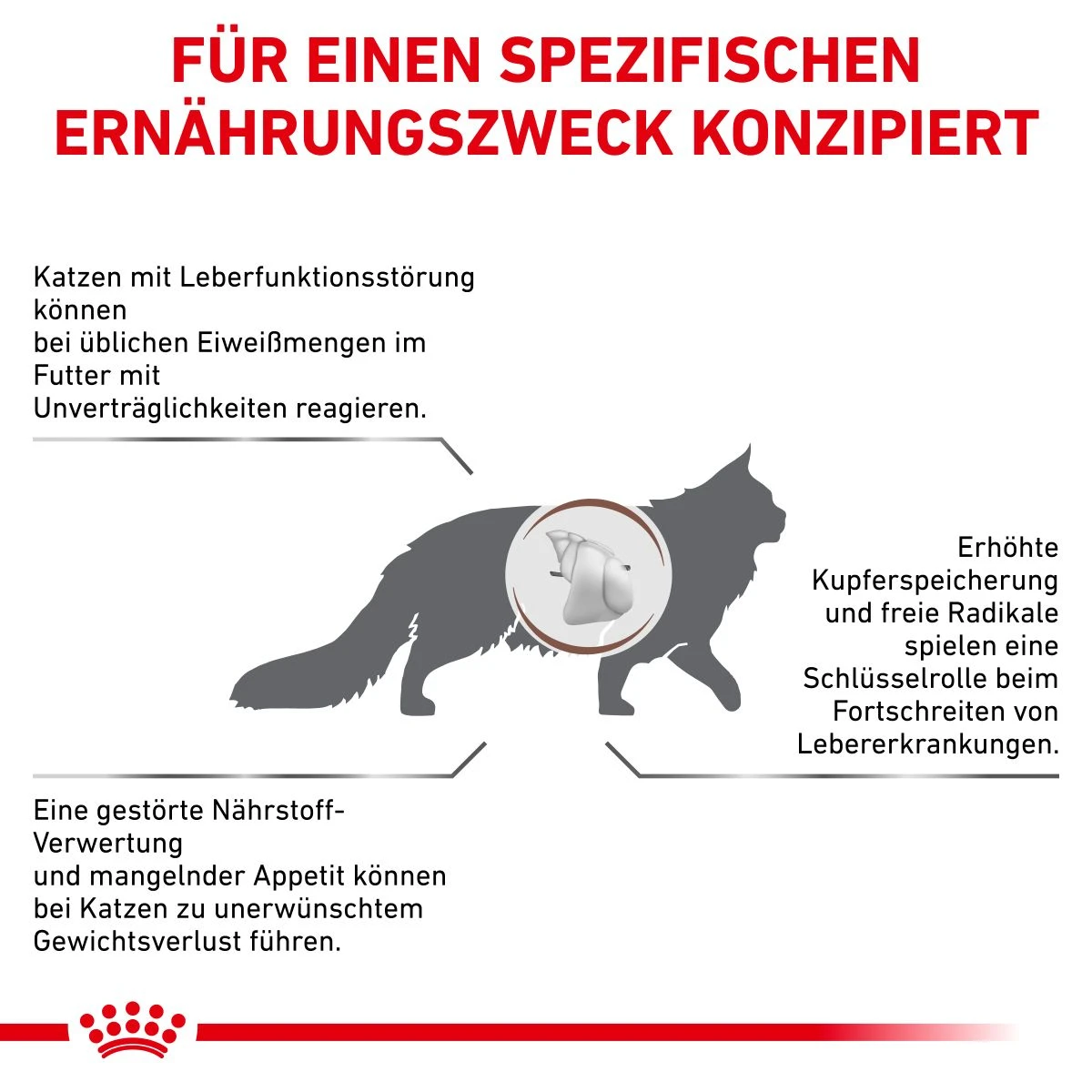 Royal Canin Hepatic Trockenfutter Für Katzen 2 Kg Katze Trockenfutter 2 Royal Canin Hepatic Trockenfutter Für Katzen 2 Kg Katze Trockenfutter – Bild 2