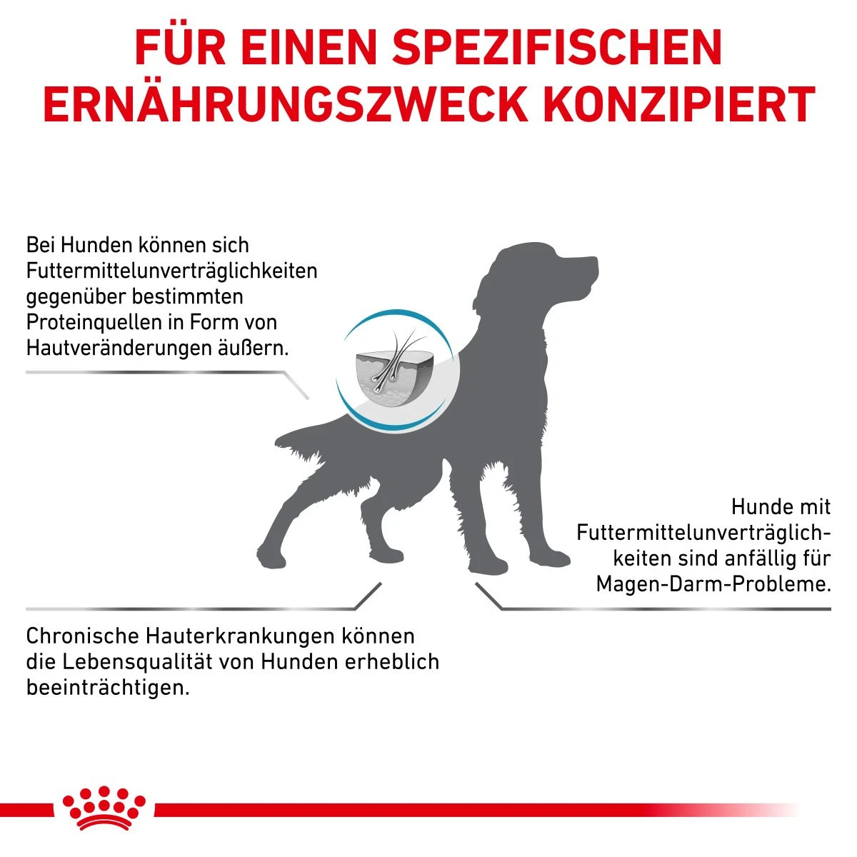 Royal Canin Sensitivity Control Trockenfutter Für Hunde 1,5 Kg Trockenfutter Für Hunde 8 Royal Canin Sensitivity Control Trockenfutter Für Hunde 1,5 Kg Trockenfutter Für Hunde – Bild 8