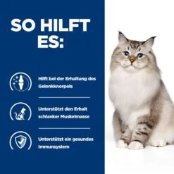 Hills J/D Trockenfutter Für Katzen 1,5 Kg Trockenfutter Für Katzen -Angebote Specific Store qxAiHb4IIKhR 52742048352 4