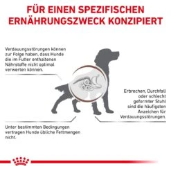 Royal Canin Gastrointestinal Low Fat Hundefutter In Dosen 12 X 200 G Low Fat Mousse Dosenfutter -Angebote Specific Store rCrJxjhmgpld 9003579024515 58 5