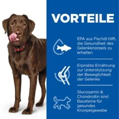 Hills Science Plan Canine Adult Healthy Mobility Large Breed Huhn Trockenfutter 14 Kg Trockenfutter 5 Hills Science Plan Canine Adult Healthy Mobility Large Breed Huhn Trockenfutter 14 Kg Trockenfutter -Angebote Specific Store rMHVNflOd8Kg 52742026015 3