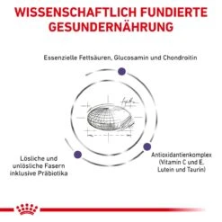 Royal Canin Adult Large Dogs Trockenfutter Für Hunde 13 Kg Trockenfutter Für Hunde -Angebote Specific Store re4HC1xtLi7l 3182550925105 6587 4