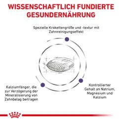 Royal Canin Dental Small Dogs Trockenfutter Für Hunde 1,5 Kg Trockenfutter Für Hunde -Angebote Specific Store sGLNU7LFzIe9 3182550783910 333 4