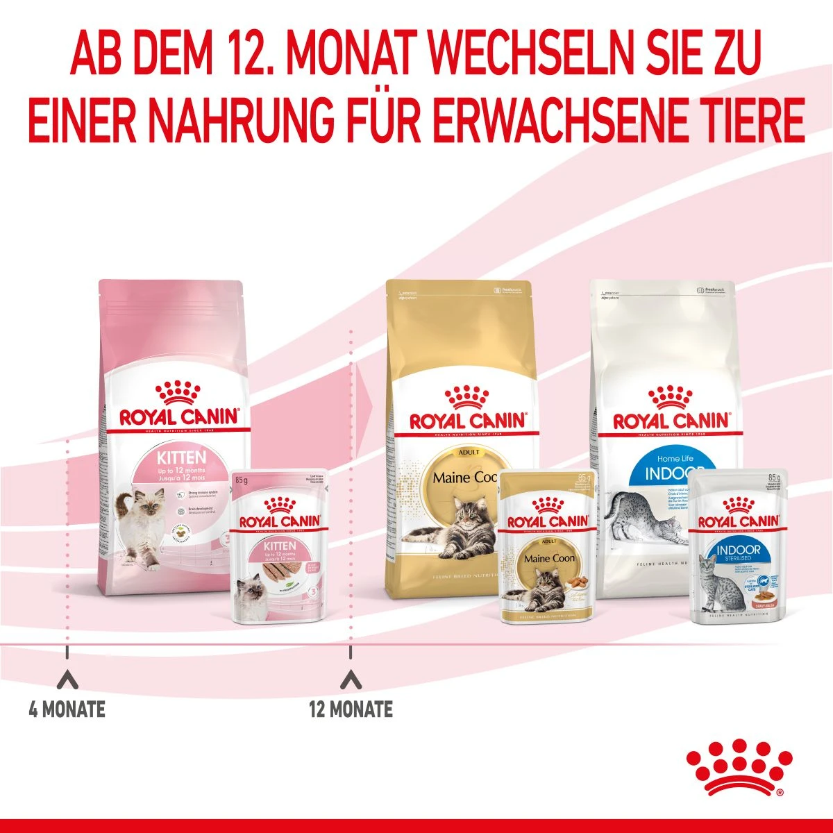 Royal Canin Kitten Frischebeutel Mousse 12 X 85 G Mousse Frischebeutel 7 Royal Canin Kitten Frischebeutel Mousse 12 X 85 G Mousse Frischebeutel – Bild 7