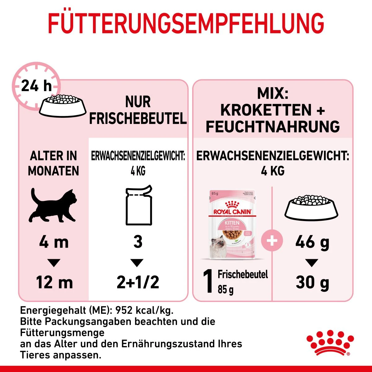 Royal Canin Kitten Second Age Für Kätzchen Bis Zum 12. Monat 12 X 85 G In Soße Frischebeutel 8 Royal Canin Kitten Second Age Für Kätzchen Bis Zum 12. Monat 12 X 85 G In Soße Frischebeutel – Bild 8