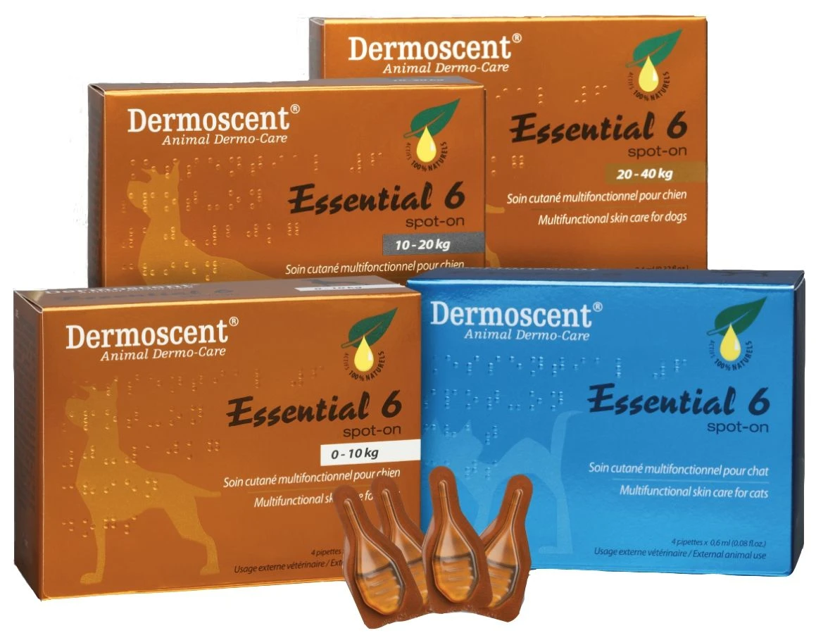 Selectavet Dermoscent Essential 6 Spot On 4 X 0,6 Ml Für Hunde (0 - 10 Kg) 1 Selectavet Dermoscent Essential 6 Spot On 4 X 0,6 Ml Für Hunde (0 - 10 Kg)