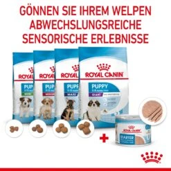 Royal Canin Starter Ultra Soft Mousse Für Welpen 12 X 195 G -Angebote Specific Store tvOHDJBAvpgi 9003579020036 4300 5