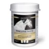EQUISTRO Percutin Paste Fürs Pferd 2 Kg Percutin Paste