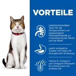 Hills Science Plan Feline Mature Adult/Senior 7+ Light Trockenfutter Mit Huhn 6 X 1,5 Kg Trockenfutter Für Katzen -Angebote Specific Store vlKbBgLNewNi 52742761602 3
